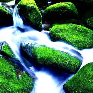 多女多男上舔下吸视频
