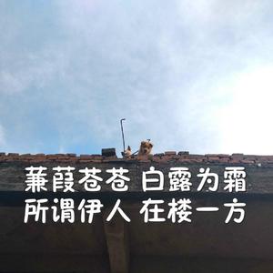 多女多男上舔下吸视频
